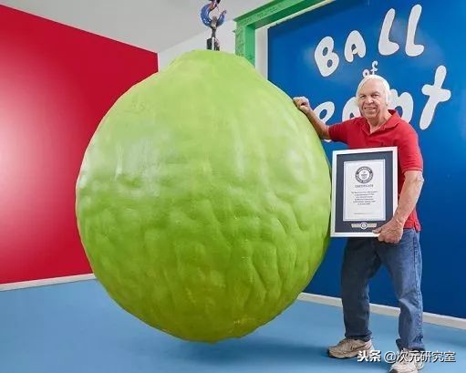 ‘吃饱了没事做’的这些奇葩又沙雕的吉尼斯世界纪录你了解过吗?