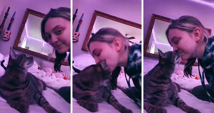 当你亲了猫一下它会摇尾巴,当你亲了猫一口会发生什么