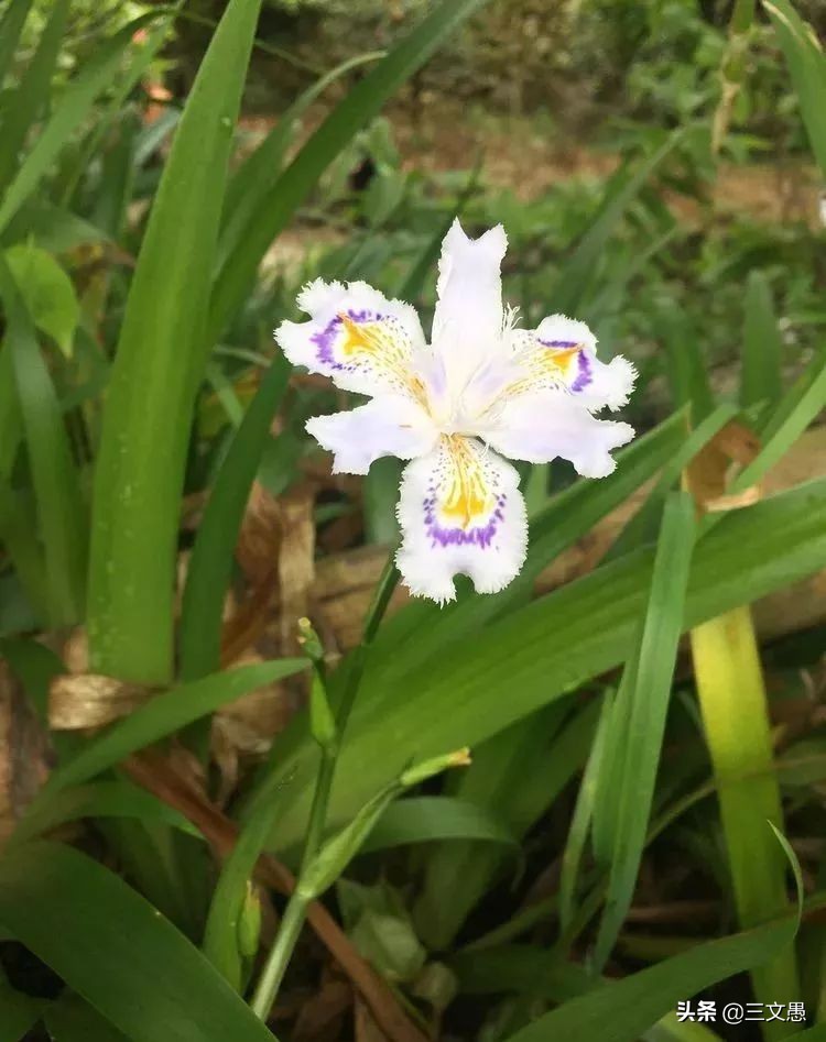 当角们走近东屏|浙江台州三门县雨中漫步游记