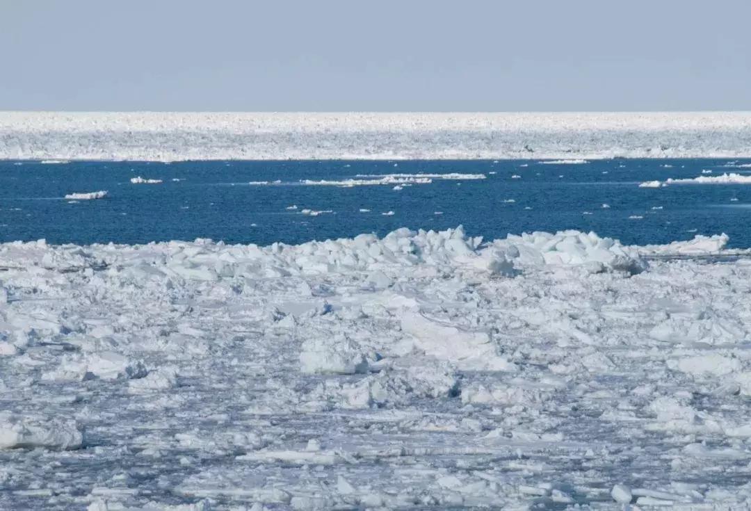 新海诚的唯美动画,新海诚日漫治愈风景