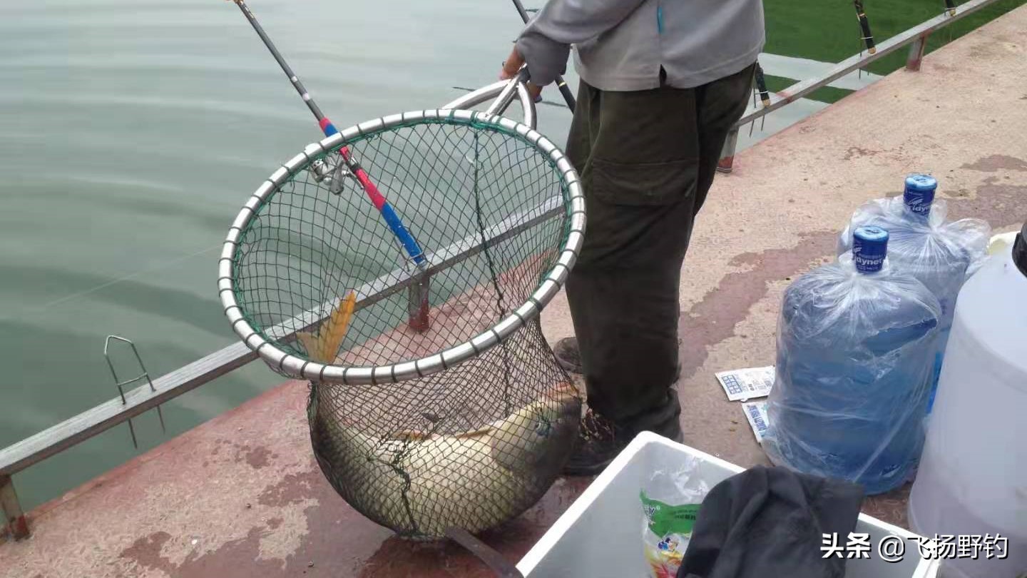 海竿钓鲢鳙翻板钩配多少克的铅块,海竿连接翻板钩为什么要用子弹铅
