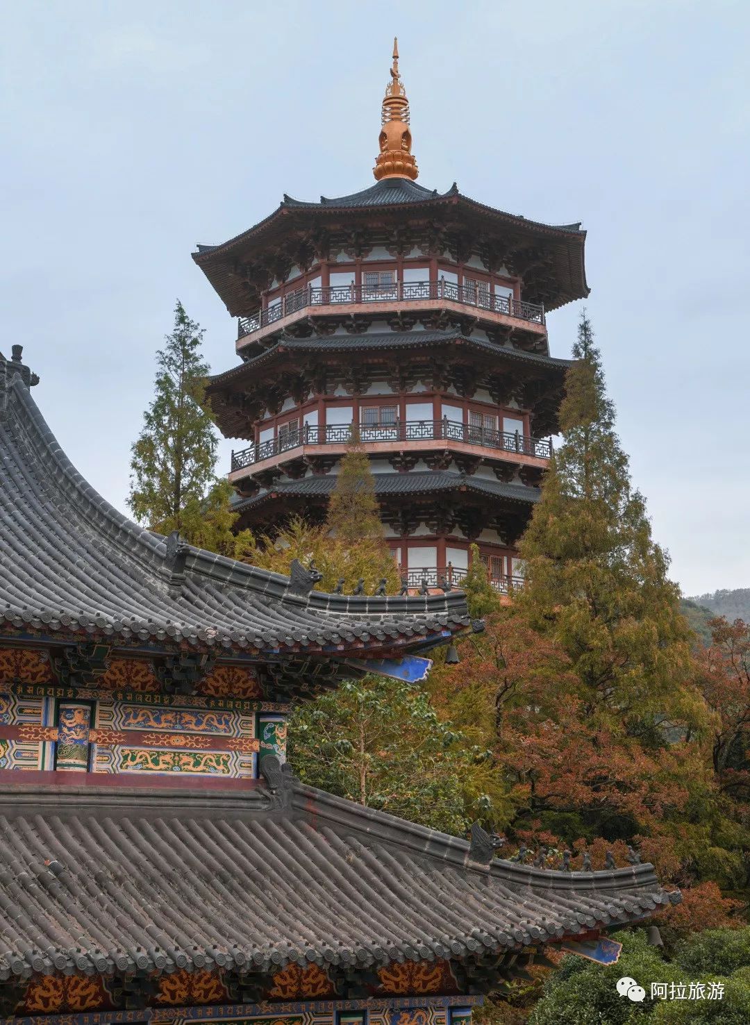 时髦！这座沿海小城居然藏着一波小众新玩法！|“...