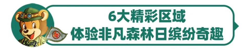 苏州乐园森林世界夜场是几月份,苏州乐园森林世界门票包含项目