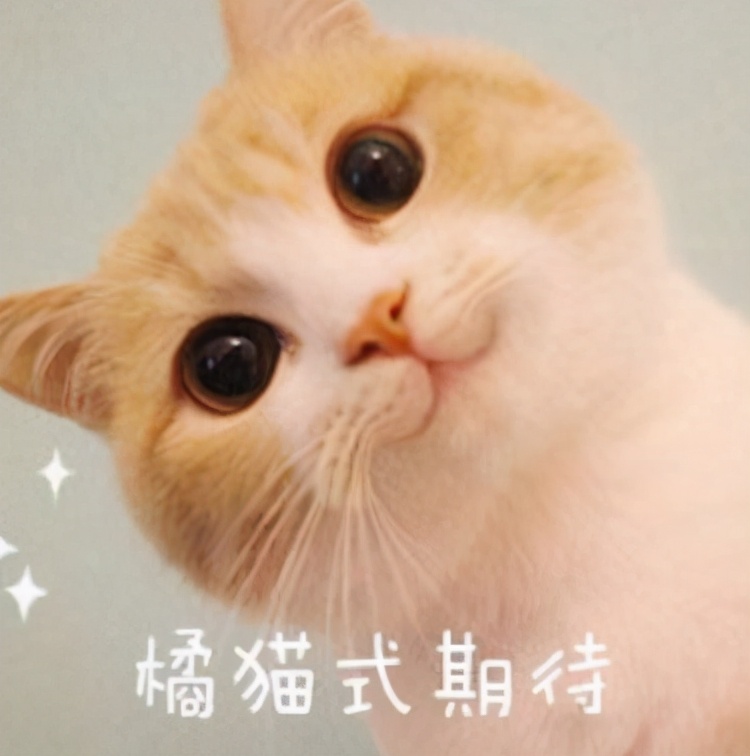 北京口腔医院开工,北京口腔医院新址进展