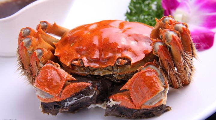 买回来的螃蟹怎么存放好教程全解,买来螃蟹暂时不吃怎么保存