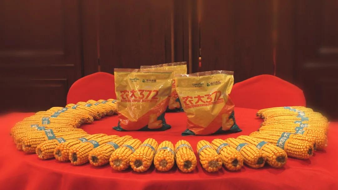 隆平高科后市看好,隆平高科股最近走势