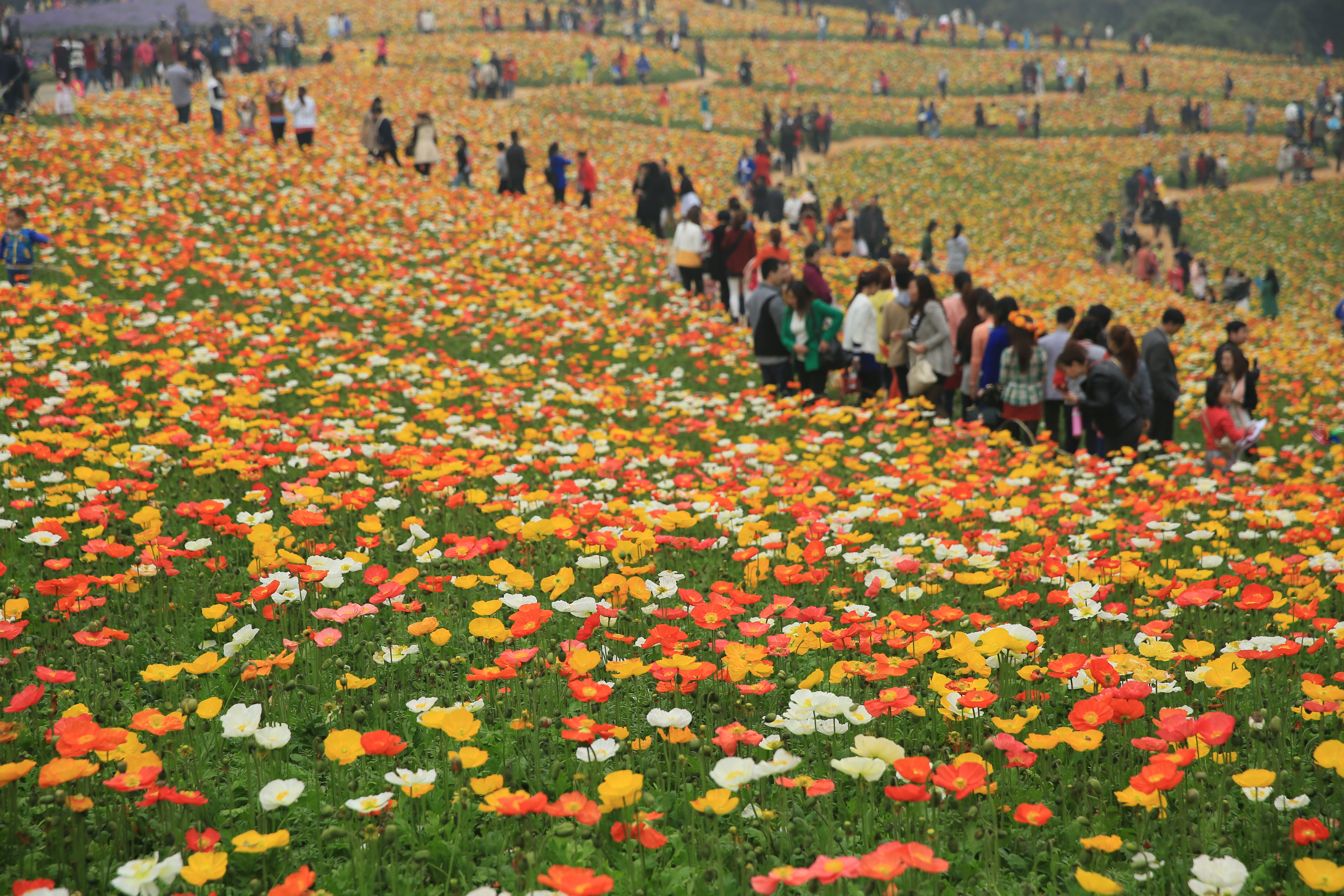 钂叉睙鐭宠薄婀栧ソ鐜╀笉,钂叉睙鐭宠薄婀栧ソ鑰嶅悧