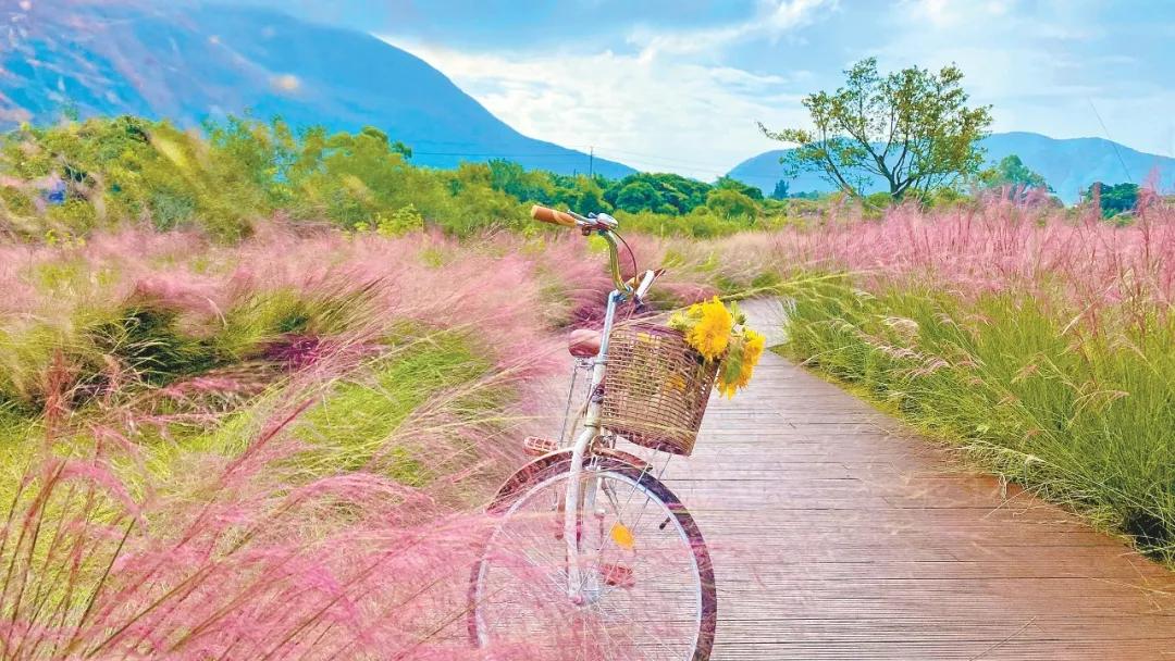 深圳疾控中心最新提醒流感,深圳疾控最新提醒