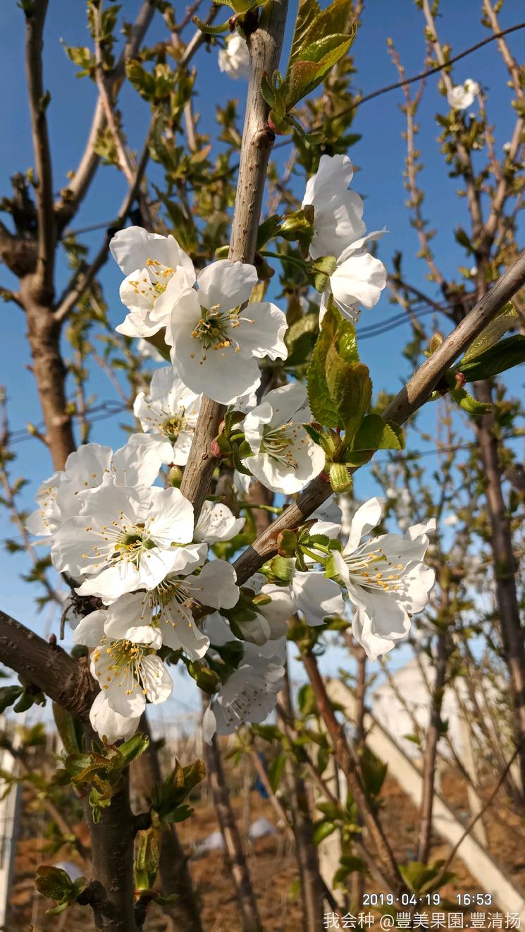 诗和远方在身边完整版,诗和远方在身边