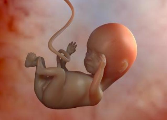 辟谣:孕期同房不是完全都是坏处,主要体现在胎儿身上