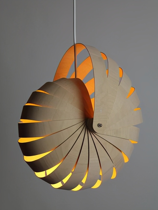 鹦鹉螺结构原理的运用,鹦鹉螺启发人类建造潜艇