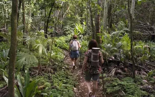 哈尔滨到云南旅游自由行,云南西双版纳旅游攻略自由行