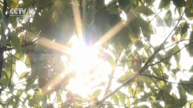 三伏天高温防御,三伏高温天气还有多久