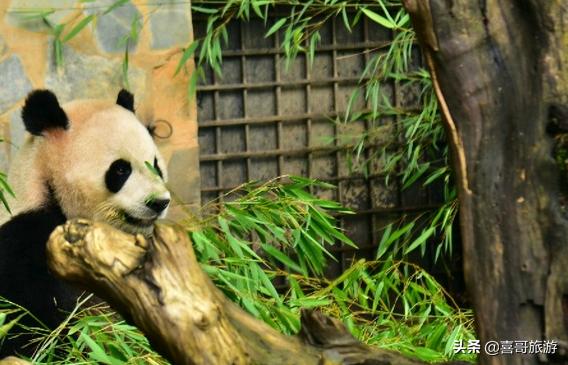 广州到昆明自驾游沿线景点推荐,昆明到成都自驾游中途有哪些景点