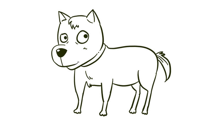 分享我的第一次装机,分享我的第一次剪辑成果