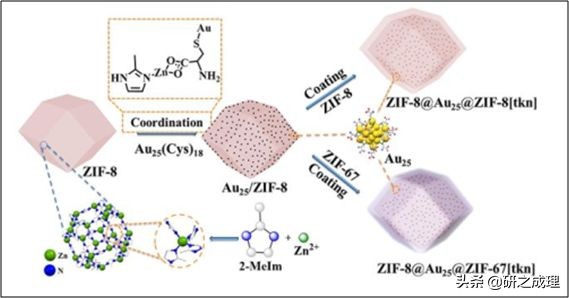 鍌寲蹇姤鏈熷垔,鍌寲鏉傚織灏侀潰