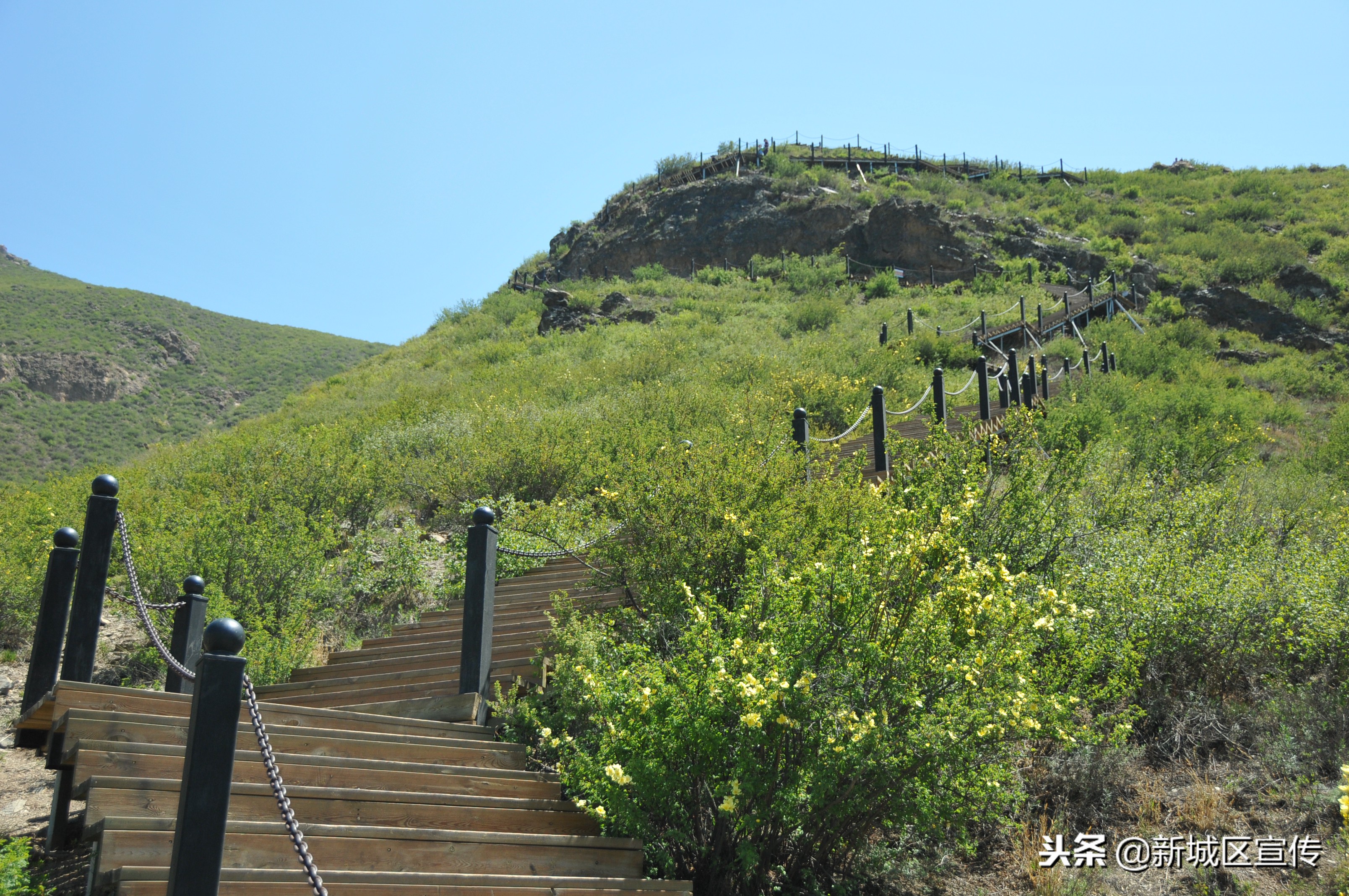 城市新中心全民健身项目,新城区全民健身掠影