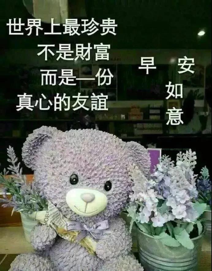 中老年表情包一切的美好源于早晨,中老年表情包活在当下且行且珍惜