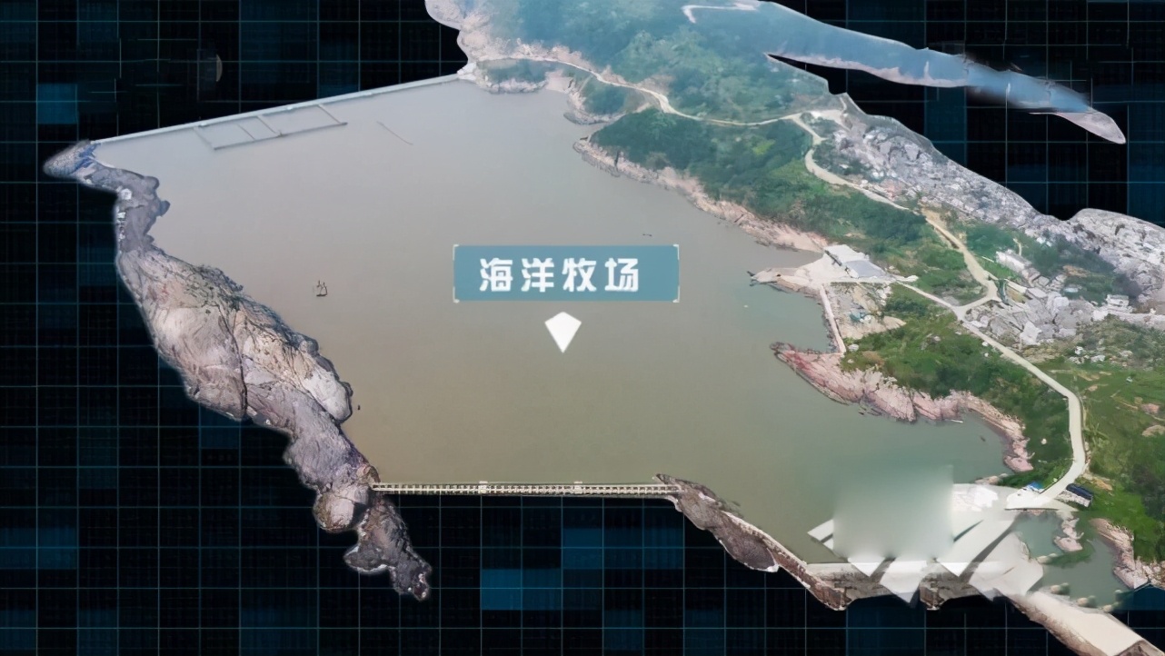 回乡创业4年开办养殖场,返乡农民工创业养鱼致富