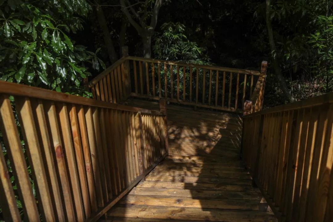 青城山别有洞天山居民宿,青城山肆禧山外民宿海拔