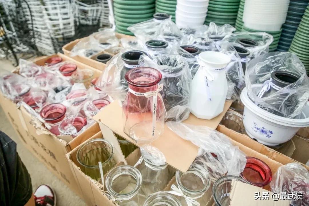 超便宜！成都铁轨下的花市5元买回一个春天！