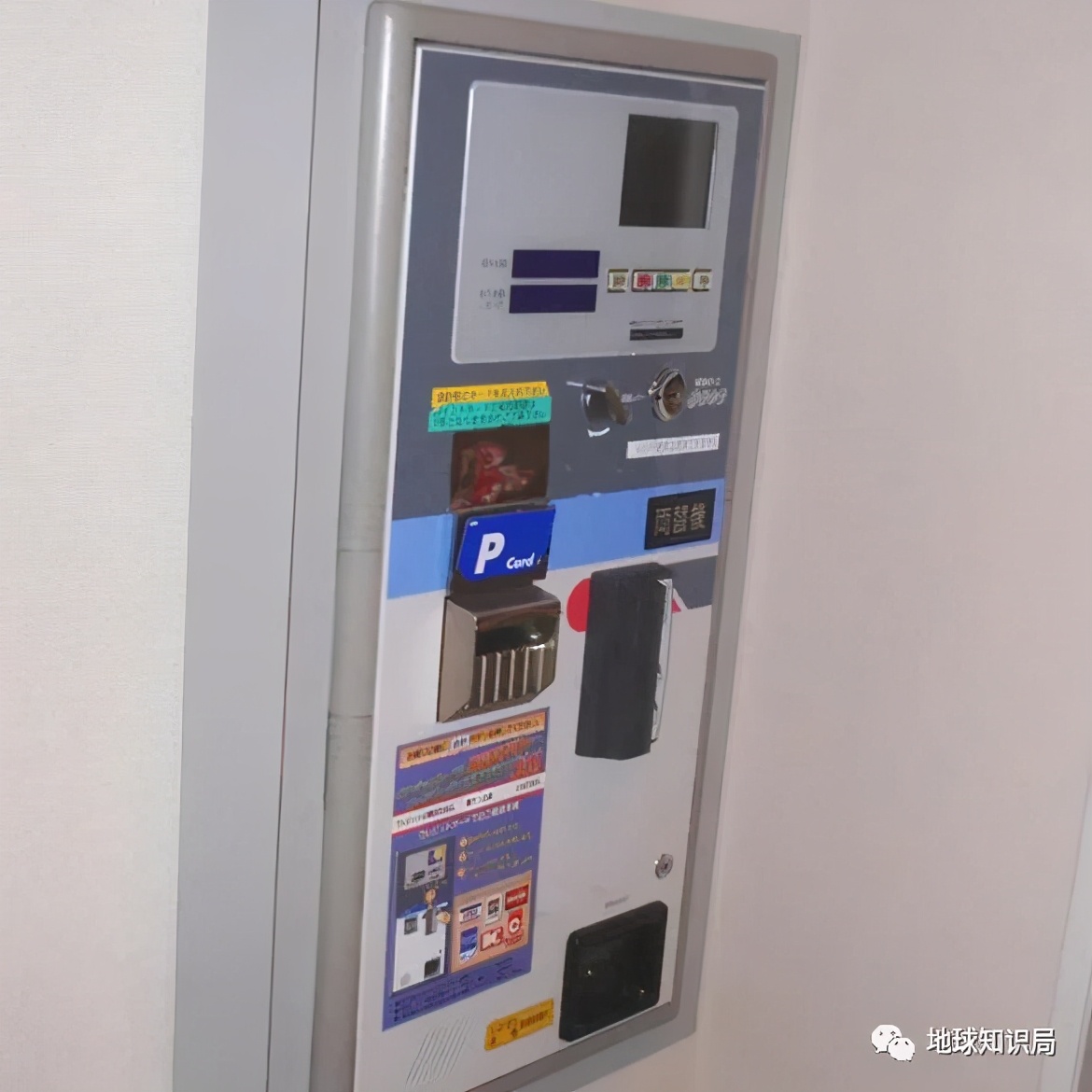 什么是“台湾爱情旅馆”？|地球知识局