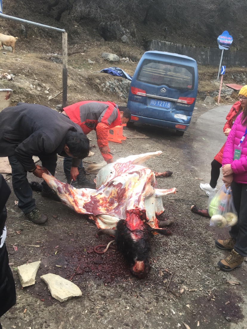 小龟王踏板车摩托车,小龟王踏板车整套外壳