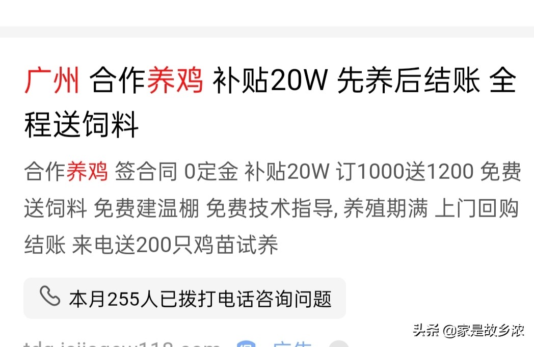 在农村做什么小养殖一年能挣十万,在老家搞养殖怎么赚钱