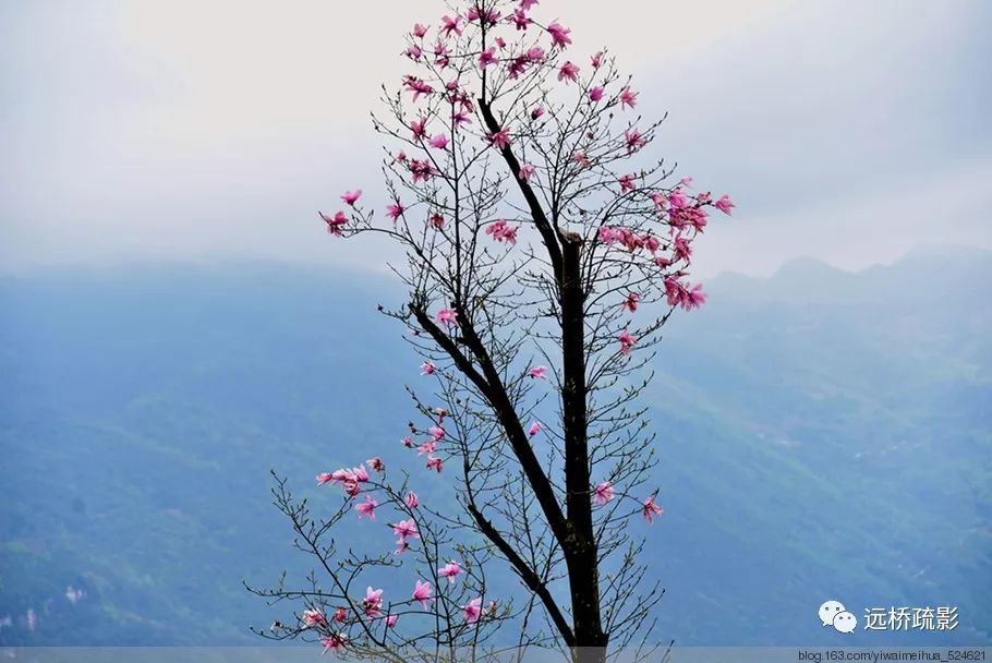 药王谷里觅旧迹（原图文）