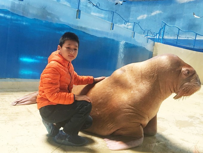 泉城极地海洋世界离济南西站多远,济南海洋极地世界离济南西近吗