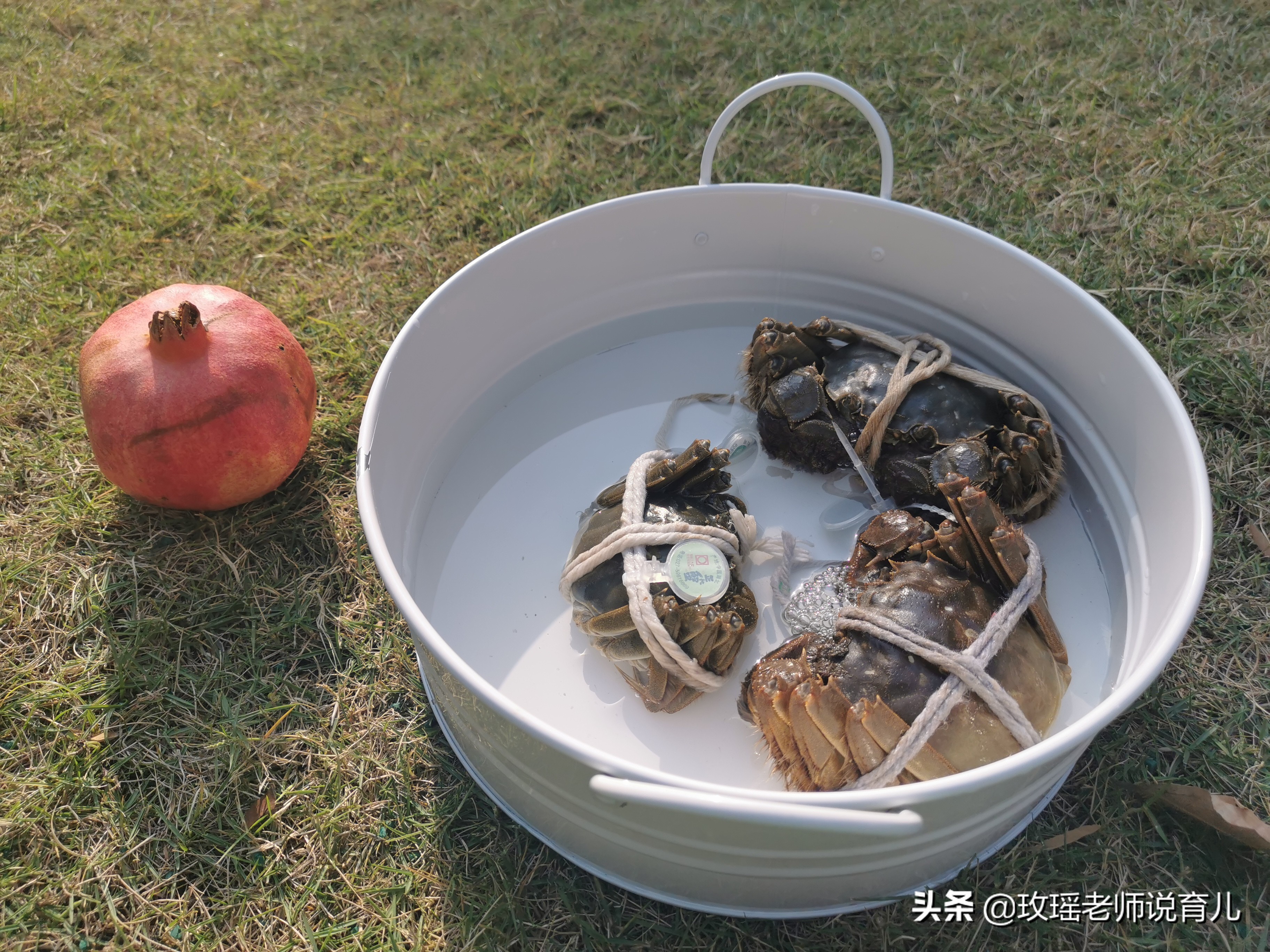 蒙特梭利适合什么孩子,蒙特梭利和传统幼儿园的区别