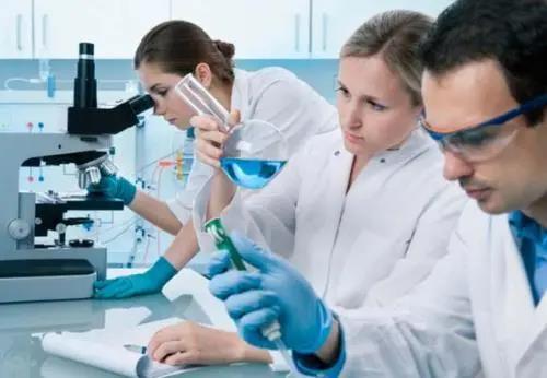 肠道菌群调理有助消化吗,肠道菌群如何影响免疫力