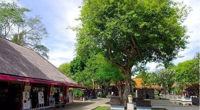 亲测巴厘岛|是时候聊聊它的正面目