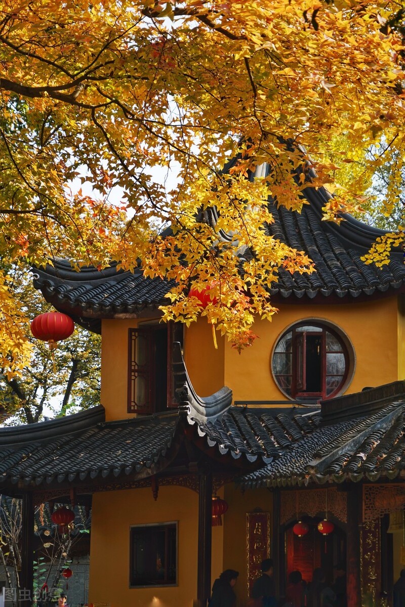 江南的秋天,温柔诗意,漫步姑苏城感受岁月静好,人间值得