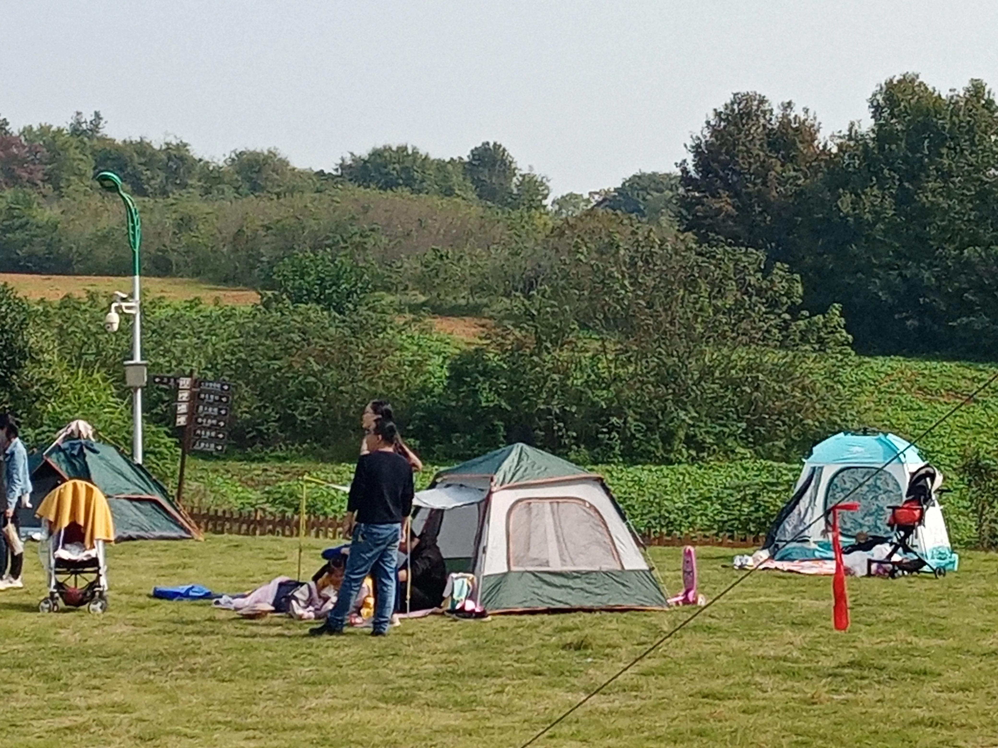 我们来到了鹿岛上