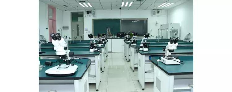 清华附中奥森校区网球,清华附中奥森学校怎么样