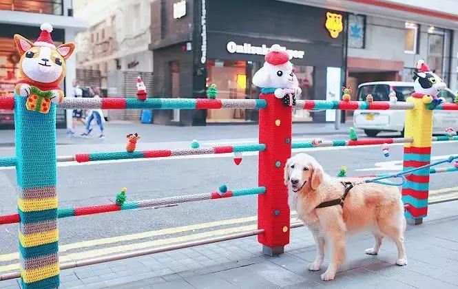 香港海滨长廊圣诞节,香港圣诞打卡地唯美视频