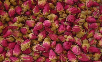 健康养生玫瑰花,玫瑰花的养生秘诀