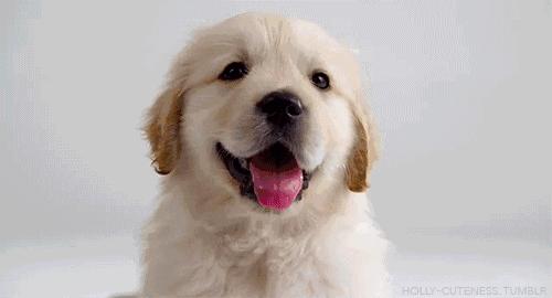 苏州平江路万达广场,苏州万达广场平江店