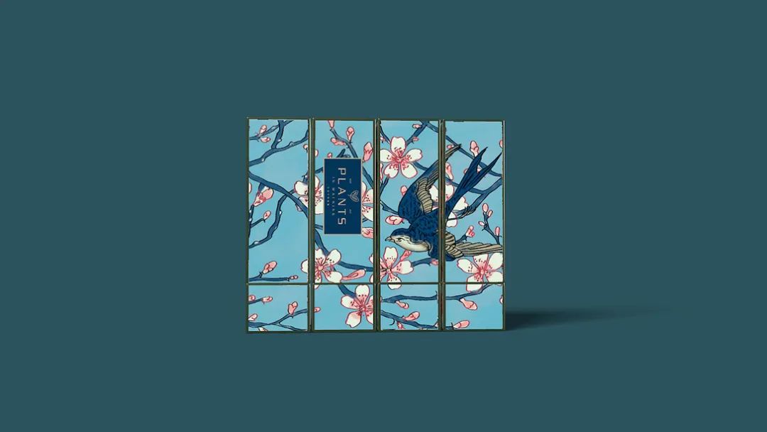 新国风的日化品包装设计，看完终于有灵感了