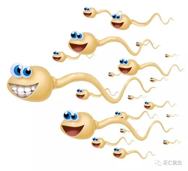 周末啦给大家来一段搞笑的段子,周末啦视频素材