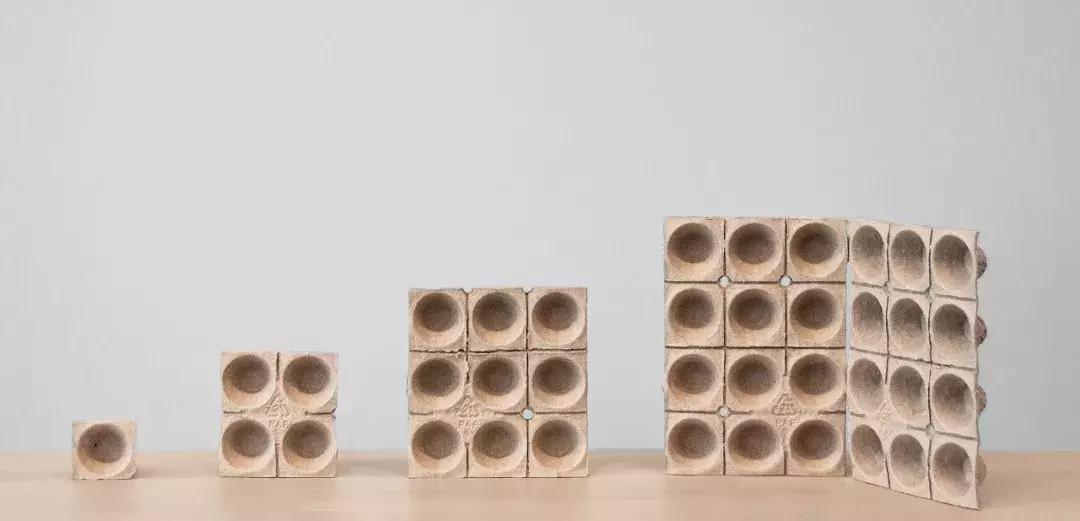 2019红点品牌与传达设计大奖——包装类获奖榜单完整版出炉