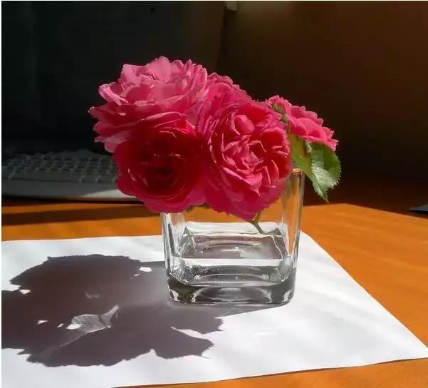 动漫手绘教程水溶彩铅上色技法,彩铅动物毛发技法绘画教程视频