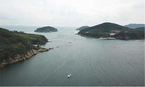 大连野生海参哪里产的最好,大连浪渔岛野生海参