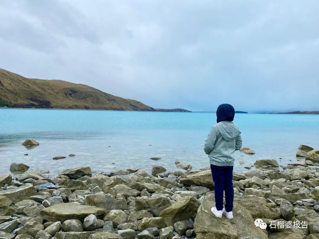 旅行7天,七天游记的视频在线观看全集高清