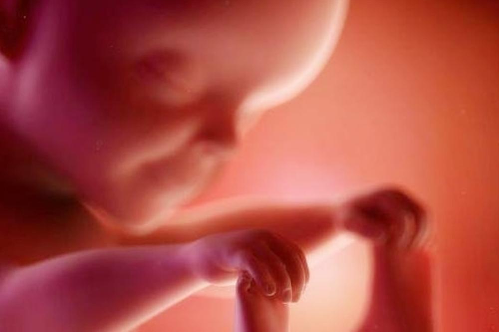 孕妈妈手摸哪里胎宝宝动哪里,胎宝宝会在妈妈身体的什么位置