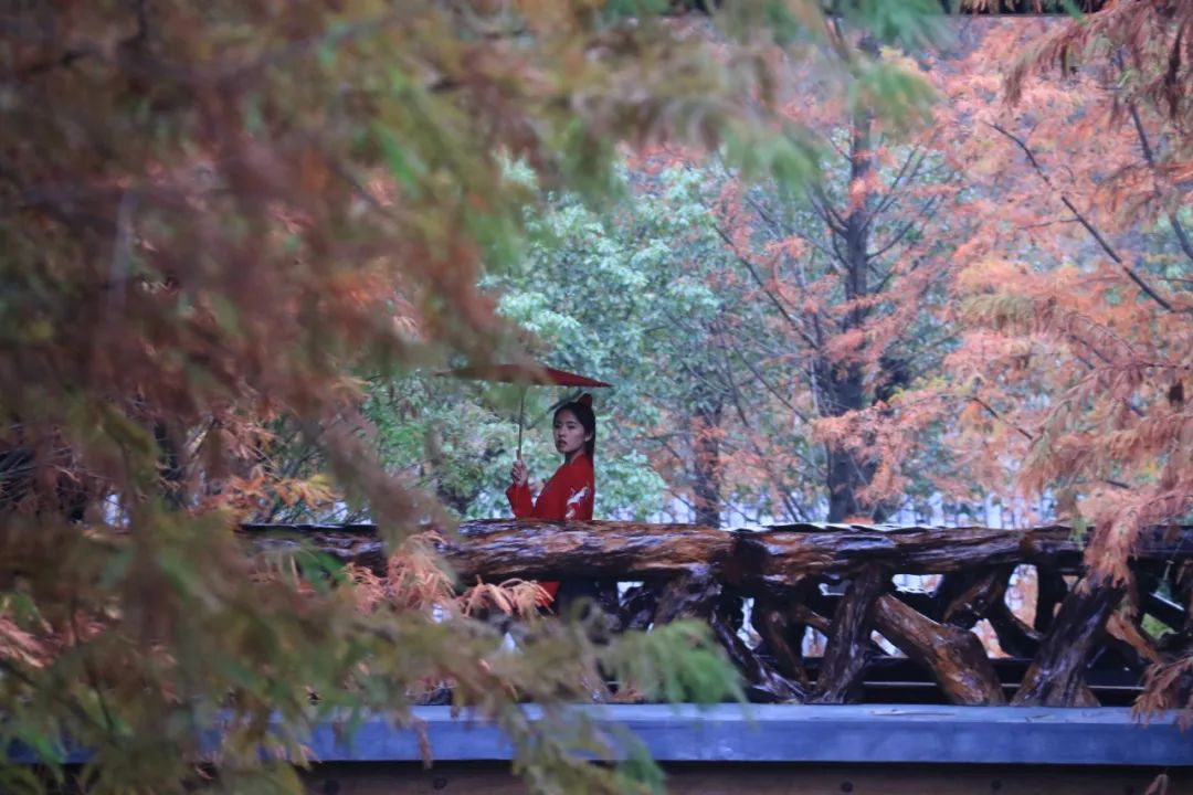 衢州为啥没有衢州鸭头,衢州鸭头不一样
