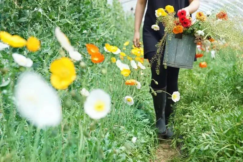 最会说情话的人全集,最会说情话的人