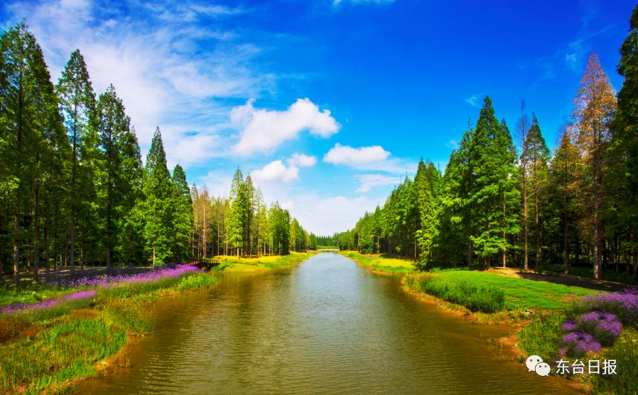 东台生态环境,东台宜居城市