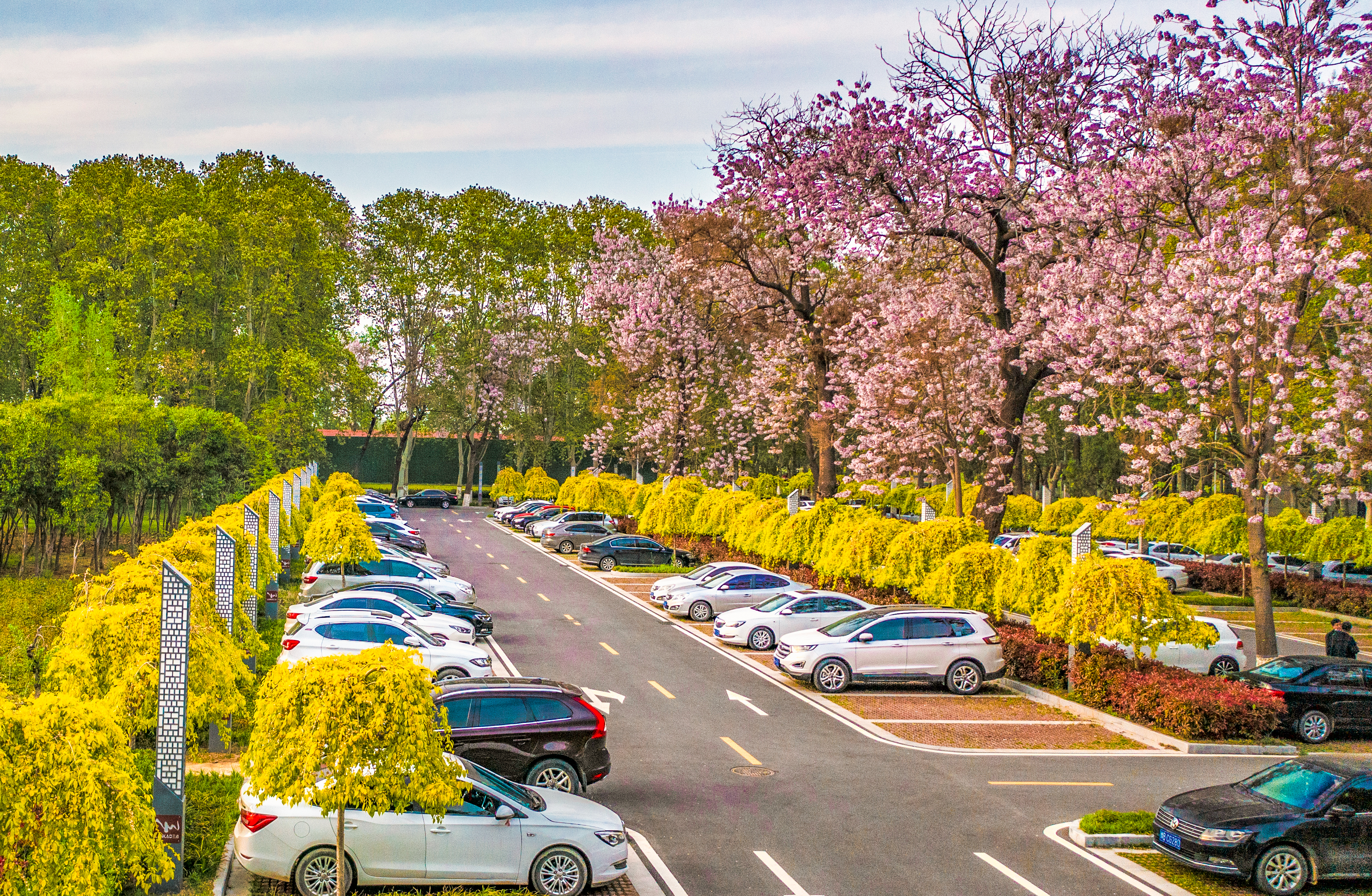 兰考新貌摄影集,兰考摄影团队